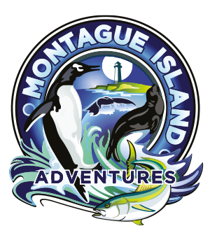 Montague Island Adventures